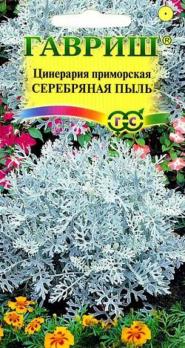 Семена Цветы Цинерария Приморская Андромеда (Гавриш)