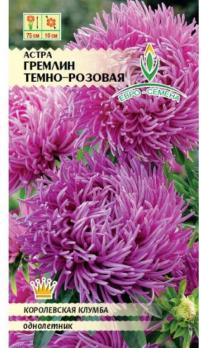Семена Цветы Астра Гремлин темно-розовая (Евро)