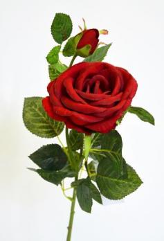 Цветок Роза Британия 2 цветка бордовая