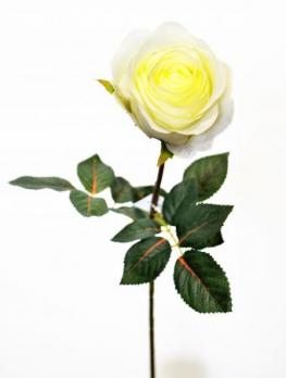Цветок Роза одиночная кремовая h=70 см
