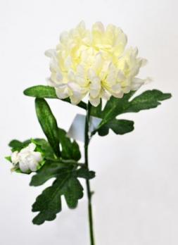 Цветок Хризантема одиночная кремовая h=57 см