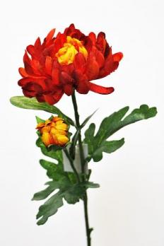 Цветок Хризантема одиночная оранжевая h=57 см