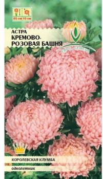 Семена Цветы Астра Башня кремово-розовая (Евро)
