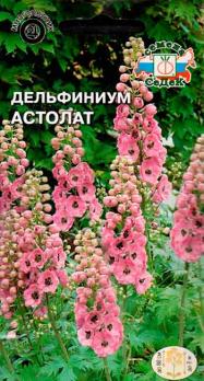 Семена Цветы Дельфиниум Астолат (Седек)