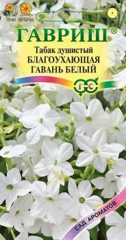 Семена Цветы Табак душистый Благоухающая Гавань белый (Гавриш)