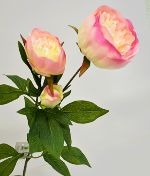 Цветок Пион ветвь 3 цветка нежно розовый h=72 см