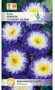 Семена Цветы Астра Помпон голубой с белым (Евро)