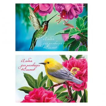 Альбом для рисования 40 листов А4 Птицы на ветке (арт.157872)